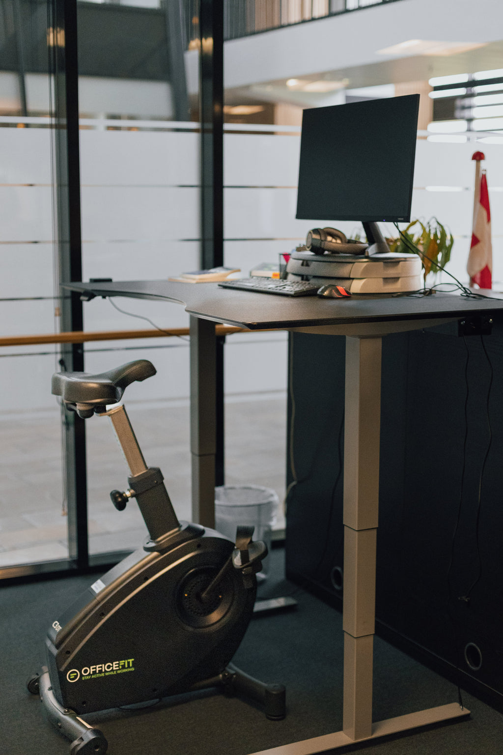 LifeSpan Kontorcykel C3-DT