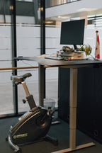 LifeSpan Kontorcykel C3-DT