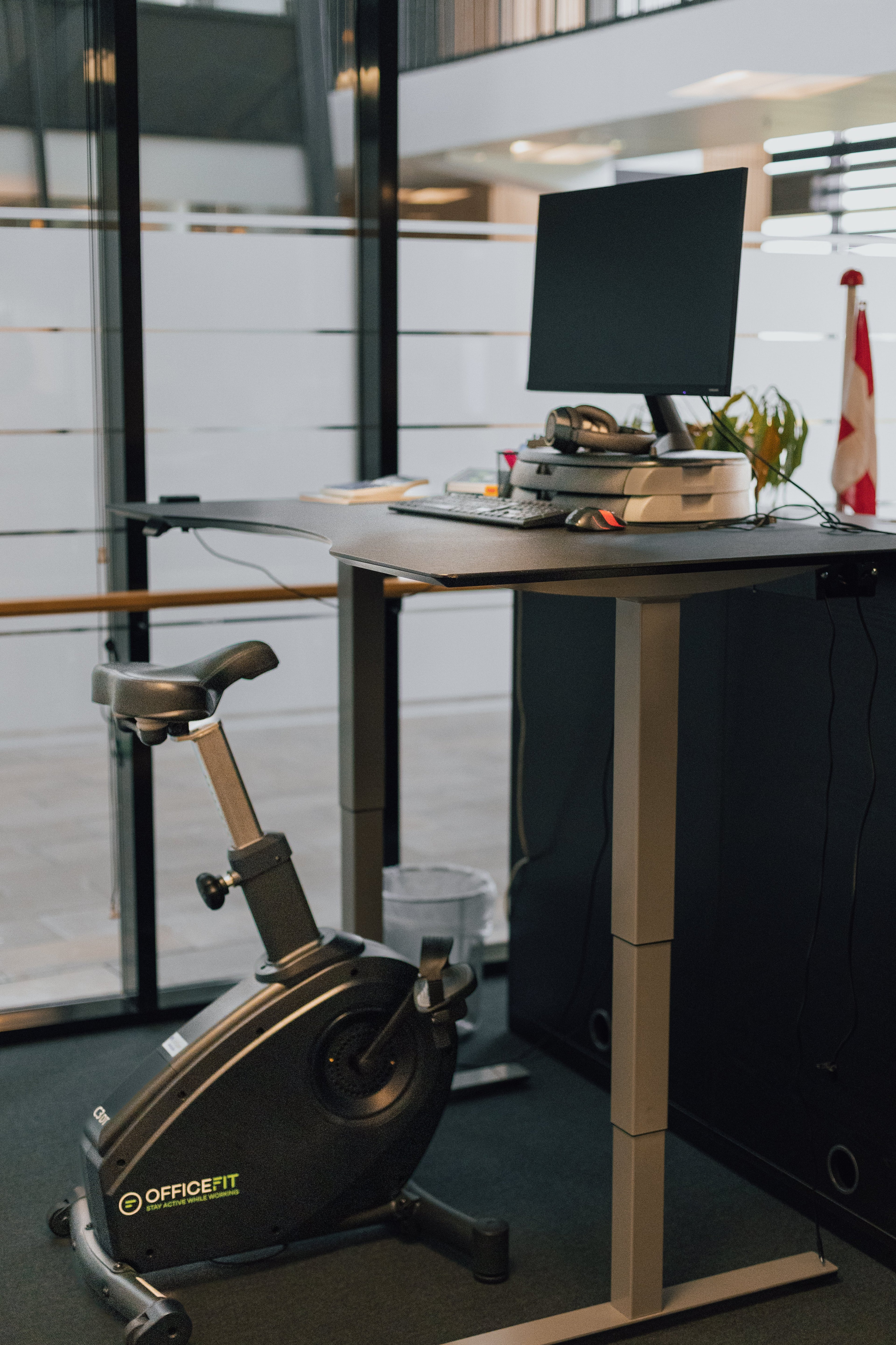 LifeSpan Kontorcykel C3-DT
